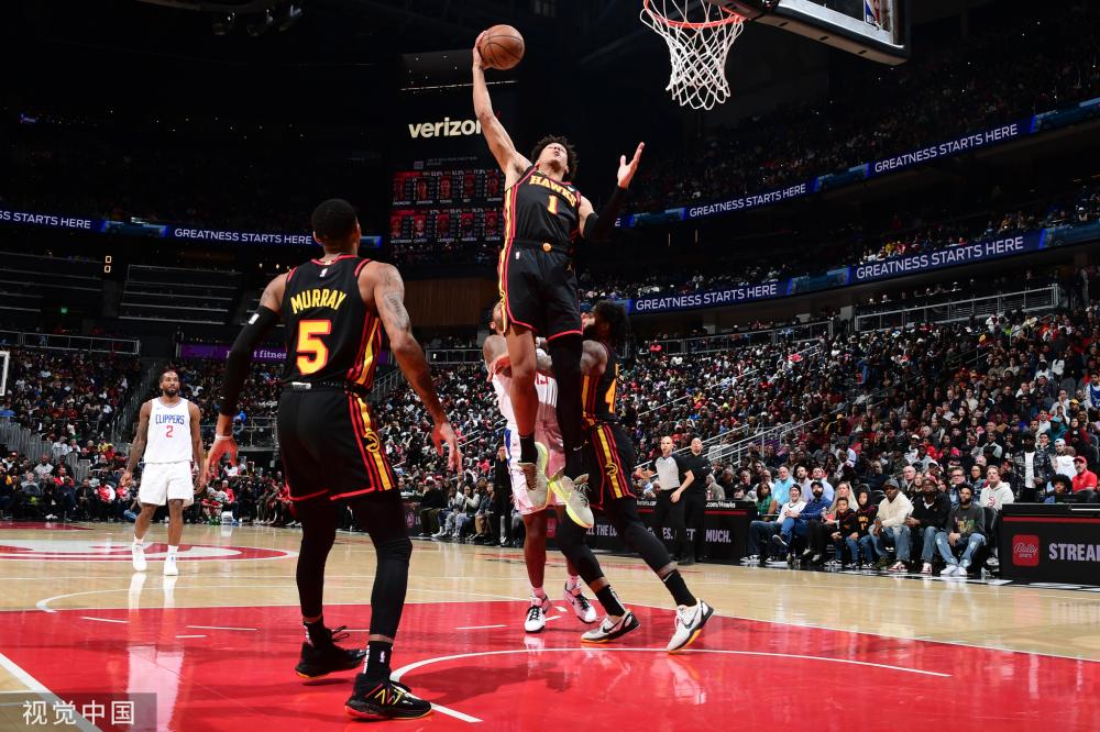 森林狼不仅 森林狼不仅